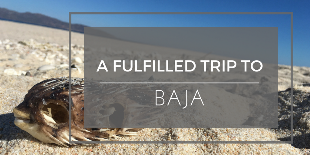 A Fulfilled Trip to Baja